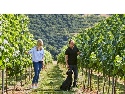 eCommerce design and digital marketing for fine English winery