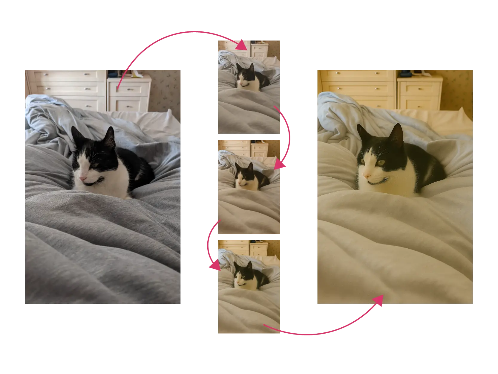 A comparison of a source image of a cat and each generation of an AI generated replication of the previous image using a basic prompt