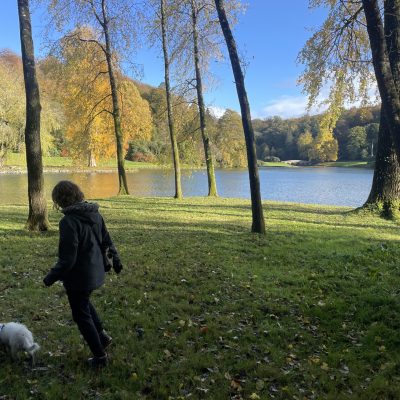 Child walking a small white dog on a lead across a grassy park in autumn, trees with yellow leaves and a lake in the distance.