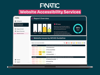 Fanatic's Website Accessibility Services