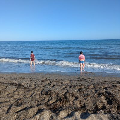 Two people paddling in the sea on a sunny day.